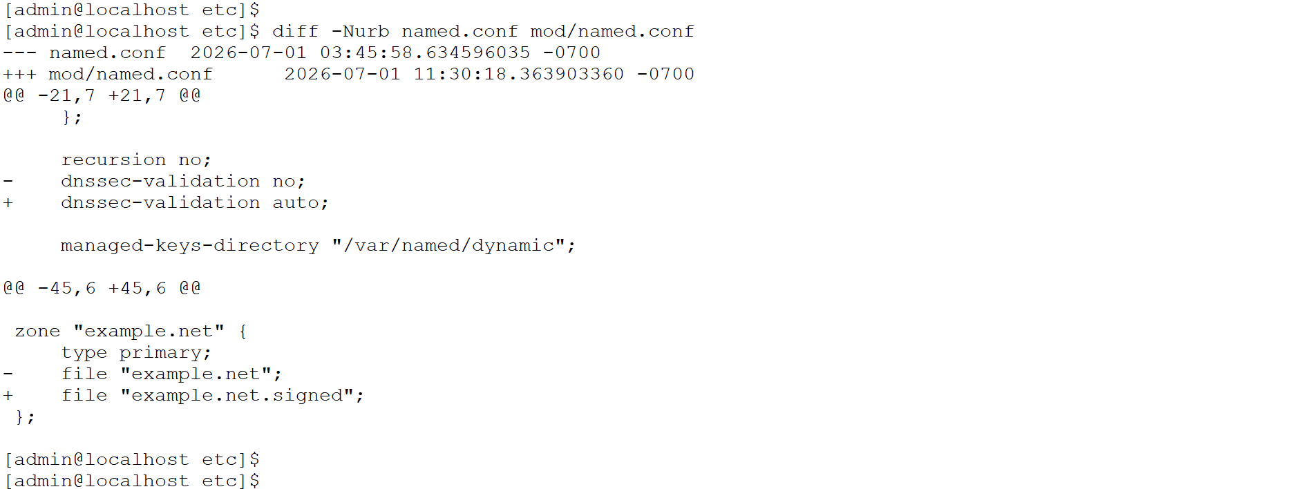10_10.1.1_RSA_named.conf-20260709-110706.png