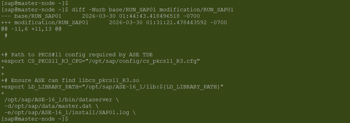 02_Env_RUN_SAP01-20260330-170510.png