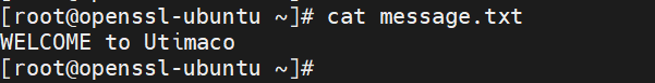 tmpdy7uz8e5.png