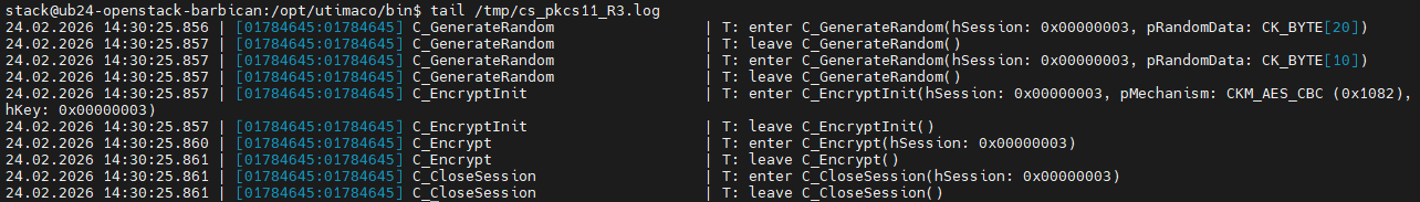 14_SymmetricKeyCreated_Logs_PKCS11.png