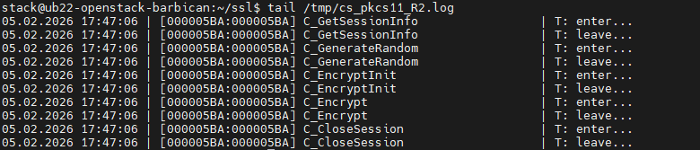 PubKeyStored_Logs_PKCS11.png