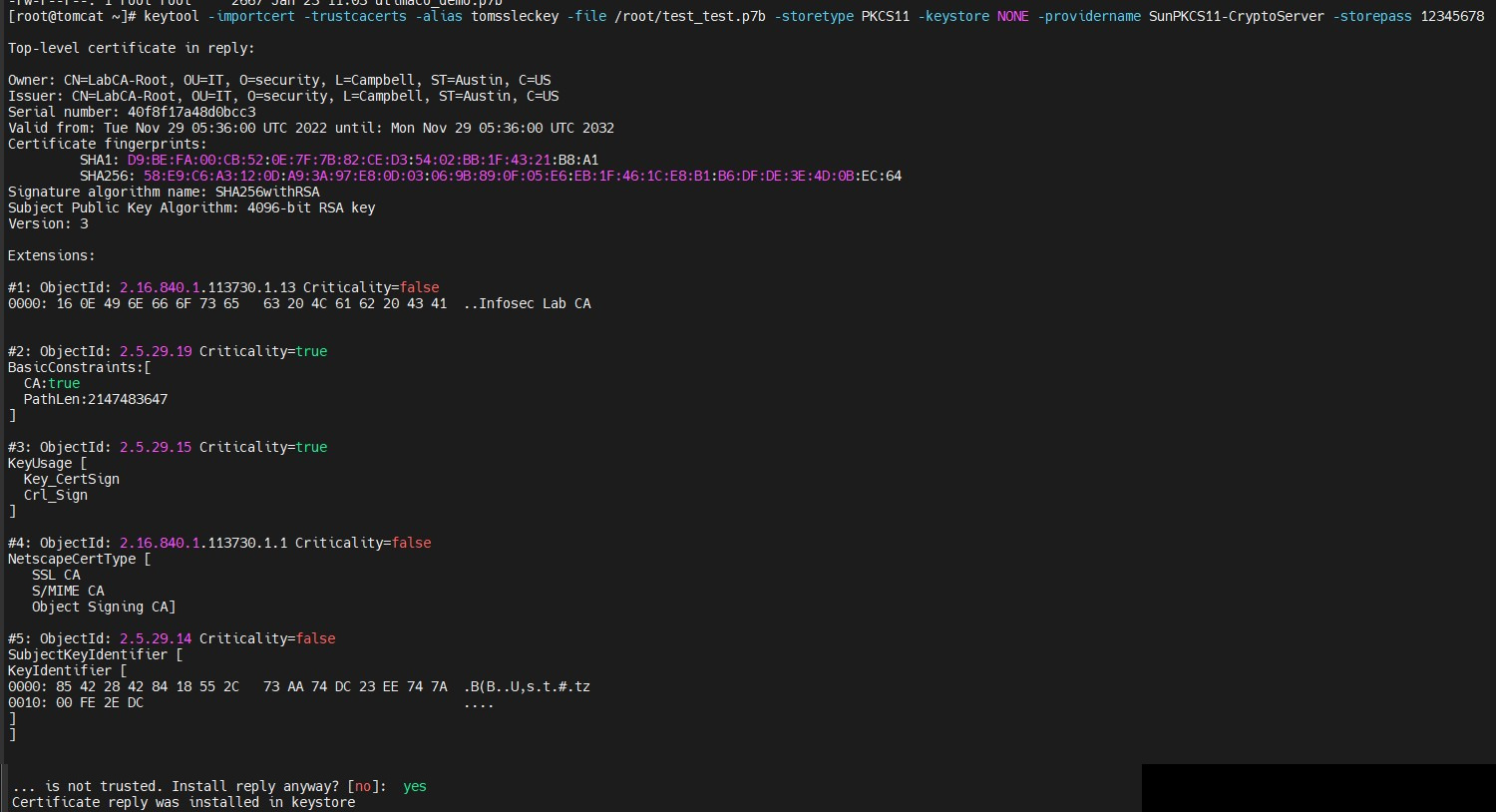 merged_test_test_full-20260426-173249.jpg