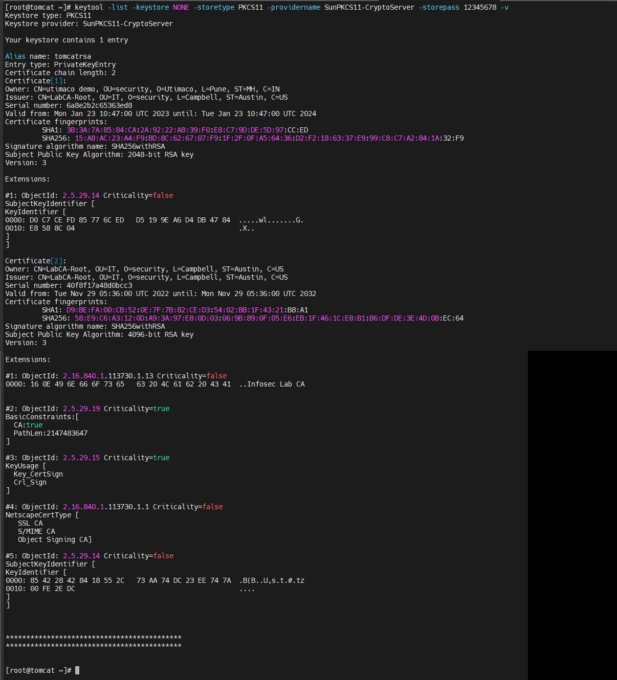 merged_both_complete-20260426-172308.jpg