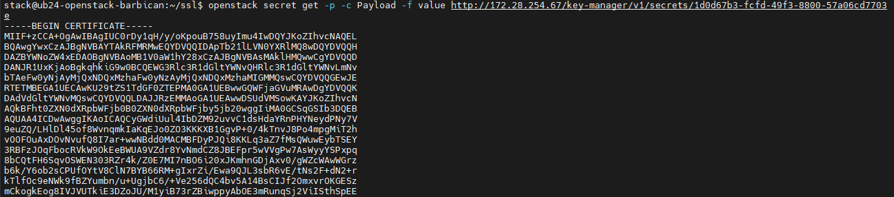 30_GetCertificateValue.png