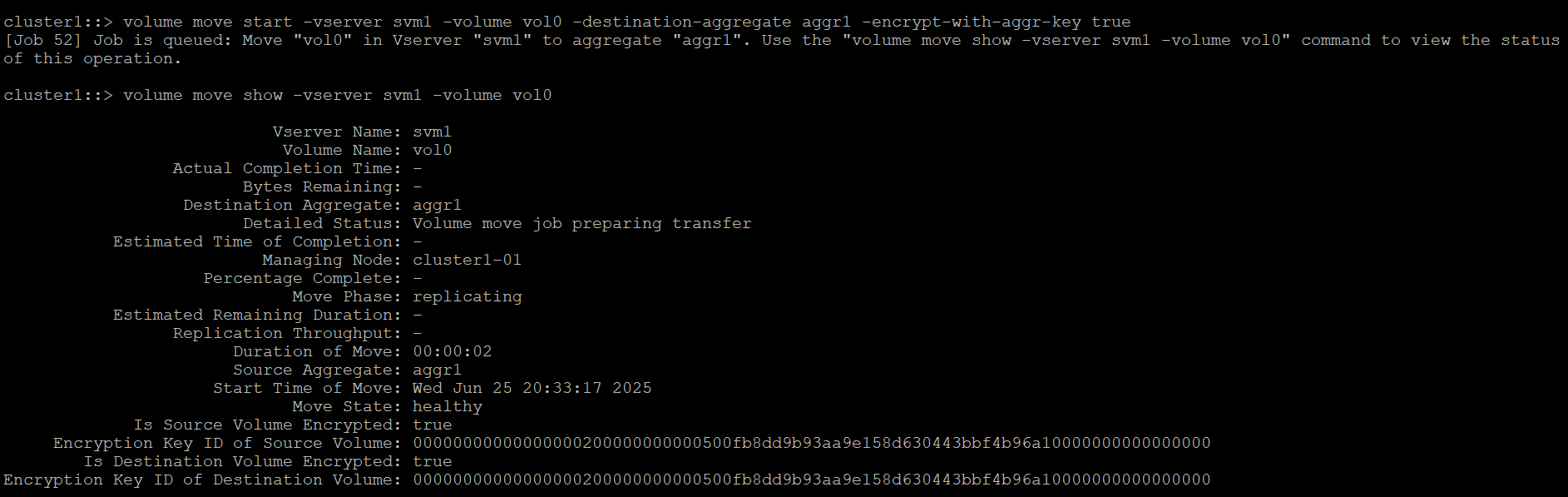 ontap_vol_move_2_running.png