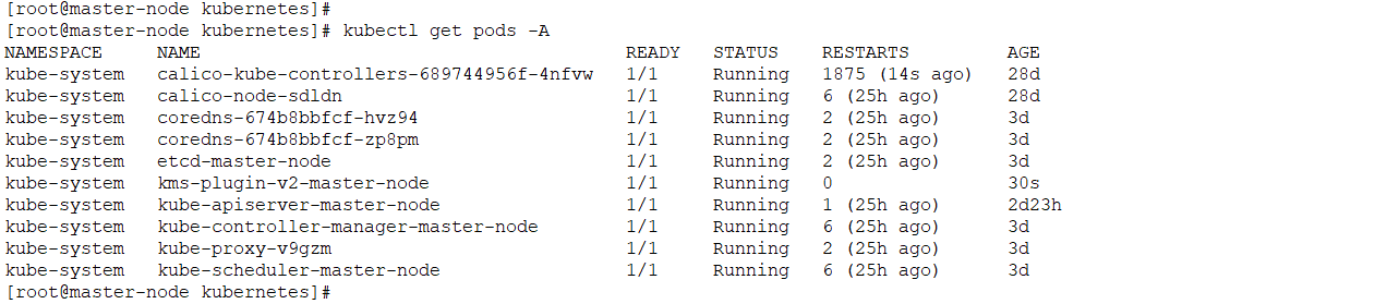 pods_status_kms.png