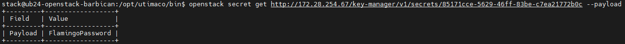 11_GetSecretValue.png