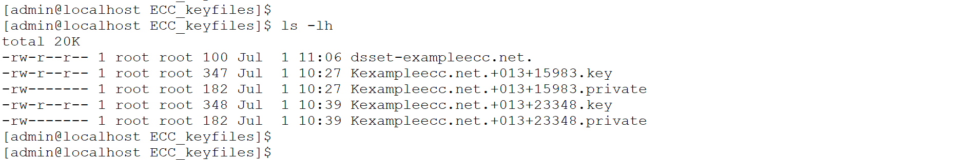09_9.2.2_ECC_DS_record_file-20260707-001338.png